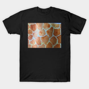 Giraffe Pattern T-Shirt